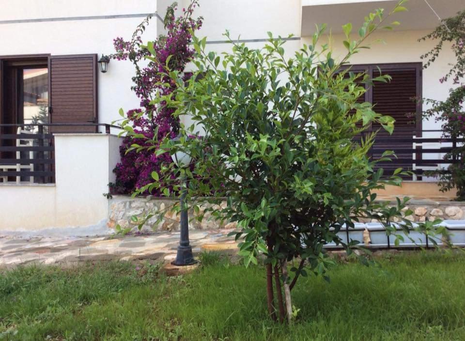 Hotel Natali Dhërmi Zewnętrze zdjęcie